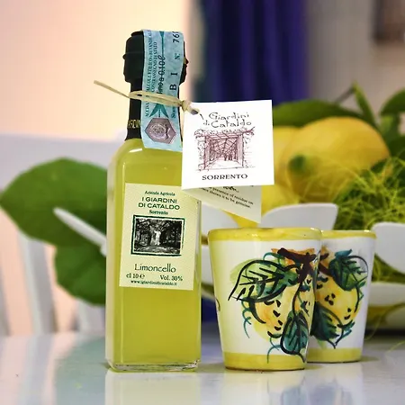 Будинок відпочинку I Giardini Di Cataldo *