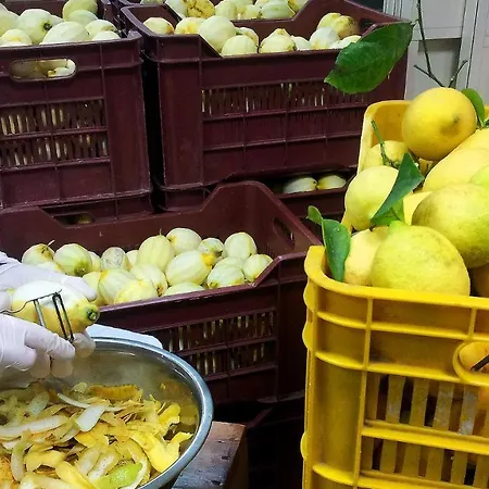 I Giardini Di Cataldo Сорренто