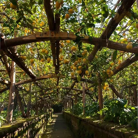 Дом отдыха I Giardini Di Cataldo *