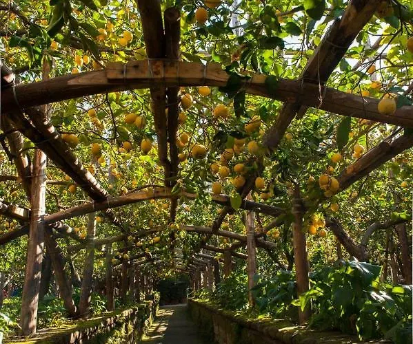 度假居 I Giardini Di Cataldo *