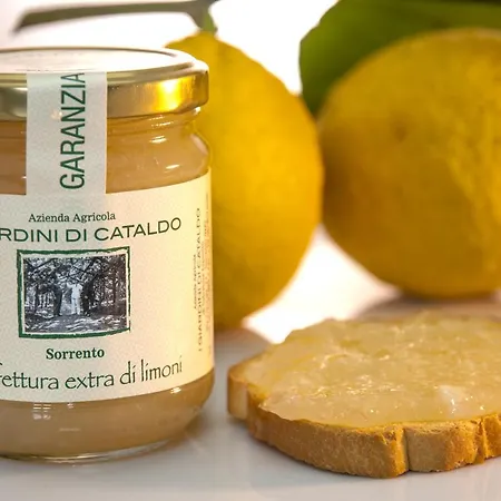 I Giardini Di Cataldo Сорренто