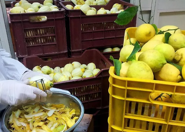 I Giardini Di Cataldo Sorrento